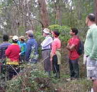 Boronia Tours