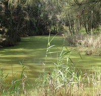Second Ponds Creek walk - Accommodation in Bendigo