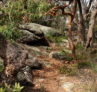 Box Head track - Accommodation in Bendigo