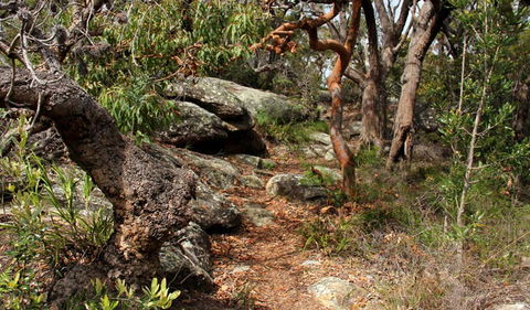 Box Head Track - Accommodation in Bendigo 0