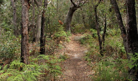 Box Head Track - Accommodation in Bendigo 1