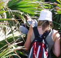 Palm Jungle loop track - Accommodation in Bendigo