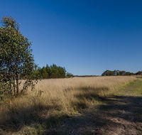 Scheyville horse riding trails - Accommodation in Bendigo