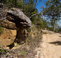 Canoelands Ridge walking track - Accommodation in Bendigo