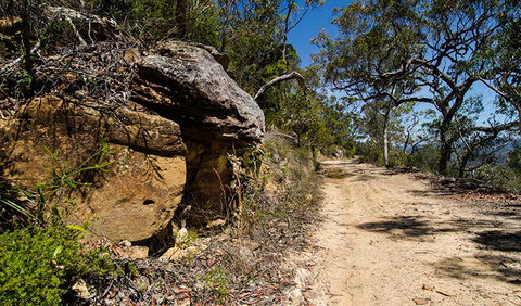 Canoelands Ridge Walking Track - Accommodation in Bendigo 0