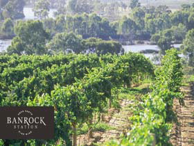 Banrock Station Wine And Wetland Centre - Accommodation in Bendigo 0