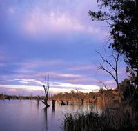 Loch Luna Game Reserve and Moorook Game Reserve - Accommodation in Bendigo