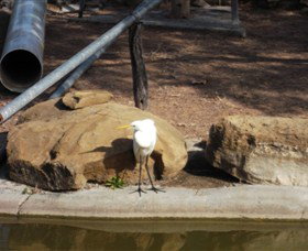 Ram Park - Accommodation in Bendigo 3