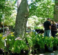 The Stirling Market - Accommodation in Bendigo