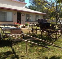 Mr and Mrs Behan Sulky Display - Accommodation in Bendigo