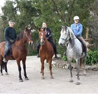Academy of Dressage - Accommodation in Bendigo