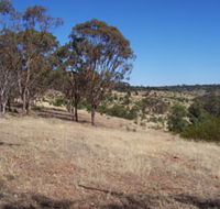 Onkaparinga River National Park - Accommodation in Bendigo