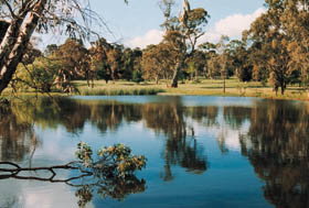 Echunga Golf Club Incorporated - Accommodation in Bendigo 1