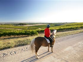 Willunga Hill SA Accommodation in Bendigo