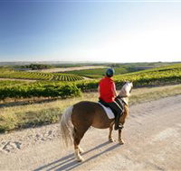 Kidman Trail - Accommodation in Bendigo