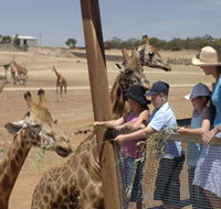 Monarto Open Range Zoo - Accommodation in Bendigo