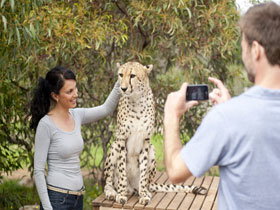 Monarto Open Range Zoo - Accommodation in Bendigo 1