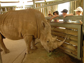 Monarto Open Range Zoo - Accommodation in Bendigo 2