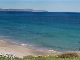 Carrickalinga Beach - Accommodation in Bendigo 1