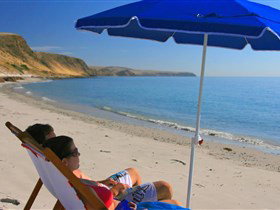 Lady Bay Beach - Accommodation in Bendigo 0