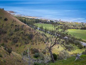 Lady Bay Beach - Accommodation in Bendigo 1