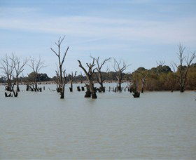Lake Victoria - Accommodation in Bendigo 3