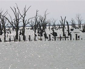 Lake Victoria - Accommodation in Bendigo 5