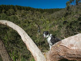 Ingalalla Waterfalls - Accommodation in Bendigo 1