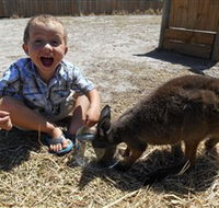 Animal Farm Goolwa - Accommodation in Bendigo