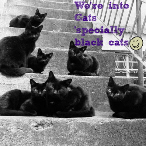 Gallery Serpentine - Accommodation in Bendigo 11