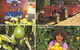 Orange World - thumb 1