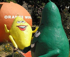 Orange World - Accommodation in Bendigo 0