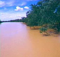 Warrego River - Accommodation in Bendigo