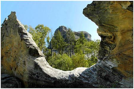 Salvator Rosa Section - Carnarvon National Park - Accommodation in Bendigo 1