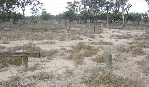 Culgoa Connellys Track - Accommodation in Bendigo 0