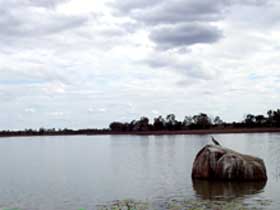 Theresa Creek Dam - Accommodation in Bendigo 2