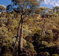 Ka Ka Mundi Carnarvon National Park - Accommodation in Bendigo