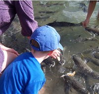 Aquascene - Accommodation in Bendigo