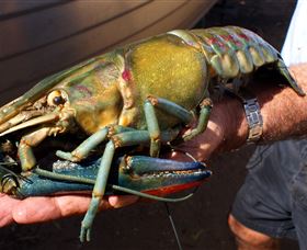 Fairbairn Dam, Lake Maraboon - Accommodation in Bendigo 3