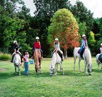 Limestone Coast Horseriding - Accommodation in Bendigo