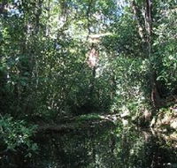 Wabunga Wayemba Charmillan Creek walking track - Accommodation in Bendigo