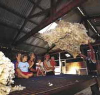 Shear Outback the Australian Shearers Hall of Fame - Accommodation in Bendigo