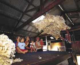 Shear Outback The Australian Shearers Hall Of Fame - Accommodation in Bendigo 0
