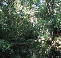 Misty Mountains Wilderness Walking Tracks - Accommodation in Bendigo