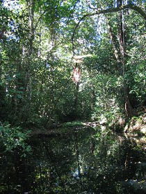 Misty Mountains Wilderness Walking Tracks - Accommodation in Bendigo 0