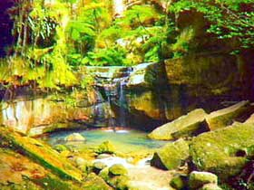 Carnarvon Gorge, Carnarvon National Park - Accommodation in Bendigo 0
