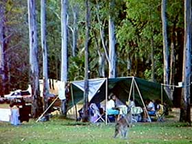 Carnarvon Gorge, Carnarvon National Park - Accommodation in Bendigo 2