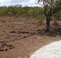 Wurrwurrwuy Garanhan Macassan Beach Interpretive Walk - Accommodation in Bendigo