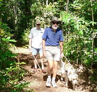 Wongabel State Forest - Accommodation in Bendigo