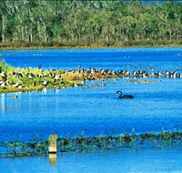 Hasties Swamp National Park - Accommodation in Bendigo